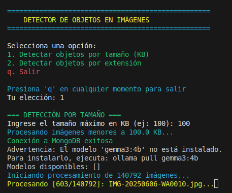 Muestra del script en proceso de detección de objetos